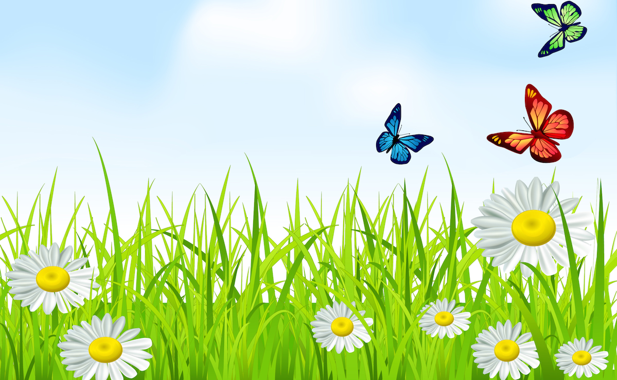 grass-butterfly-daisy-image-background.jpeg » Ecosmith Recyclers, Inc.